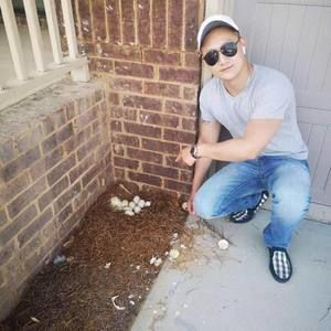 Meet your Posher, Bin